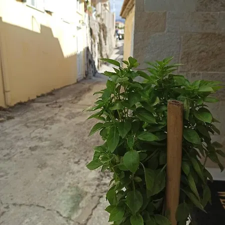 μπαλκόνι του αιγαίου Father's House In Apartment *