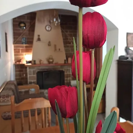 Apartman μπαλκόνι του αιγαίου Father's House In Kími