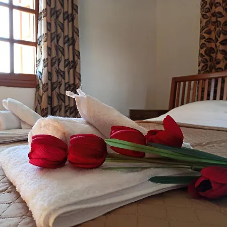 μπαλκόνι του αιγαίου Father's House In Apartamento Kími