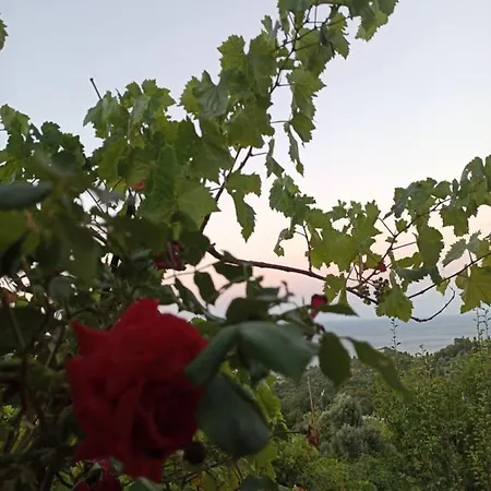 Apartman μπαλκόνι του αιγαίου Father's House In