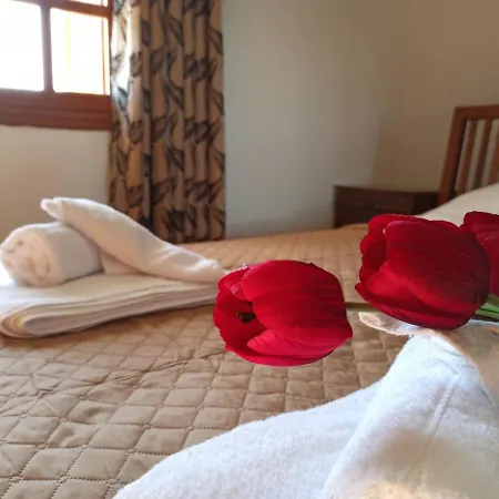 Apartamento μπαλκόνι του αιγαίου Father's House In Kími
